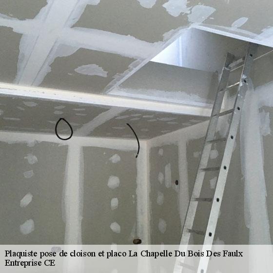 Plaquiste pose de cloison et placo  la-chapelle-du-bois-des-faulx-27930 Entreprise CE