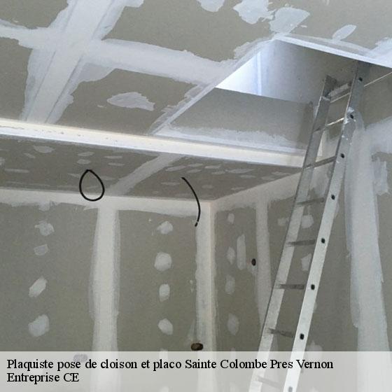 Plaquiste pose de cloison et placo  sainte-colombe-pres-vernon-27950 Entreprise CE