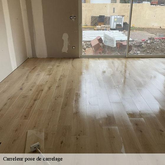 Carreleur pose de carrelage  radepont-27380 Entreprise CE