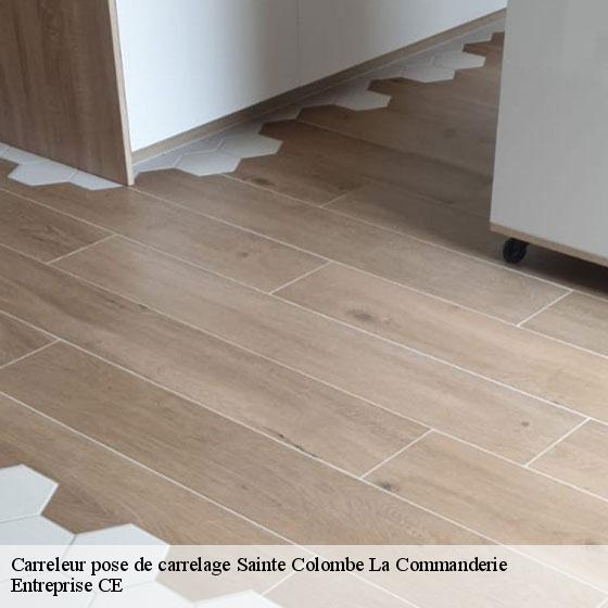 Carreleur pose de carrelage  sainte-colombe-la-commanderie-27110 Entreprise CE