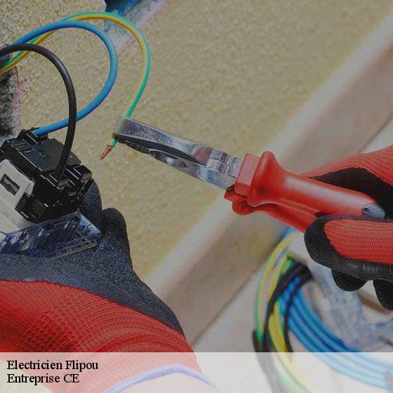 Electricien  flipou-27380 Entreprise CE