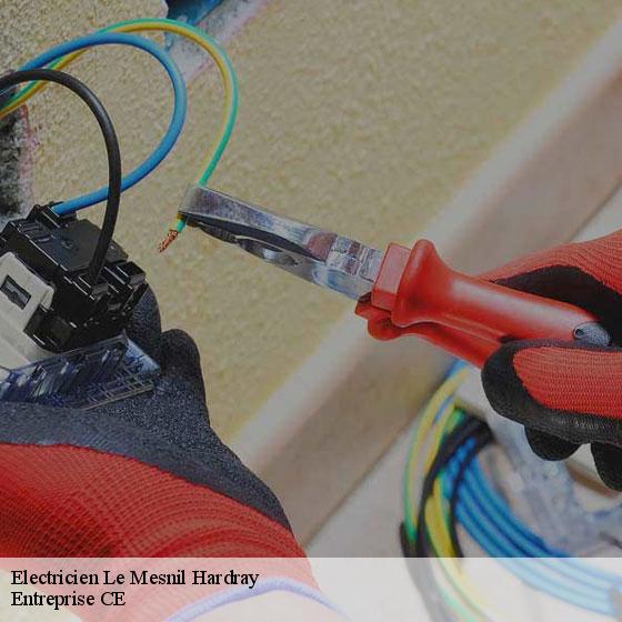 Electricien  le-mesnil-hardray-27190 Entreprise CE