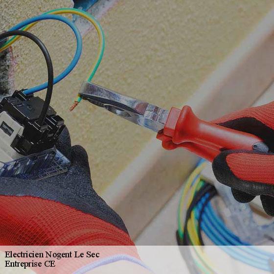 Electricien  nogent-le-sec-27190 Entreprise CE