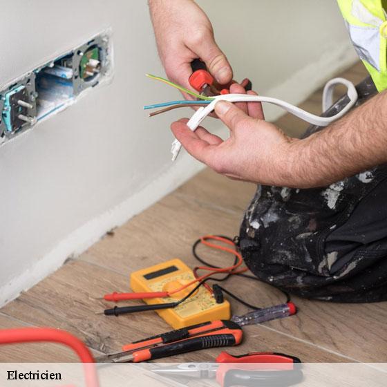 Electricien  sainte-colombe-pres-vernon-27950 Entreprise CE