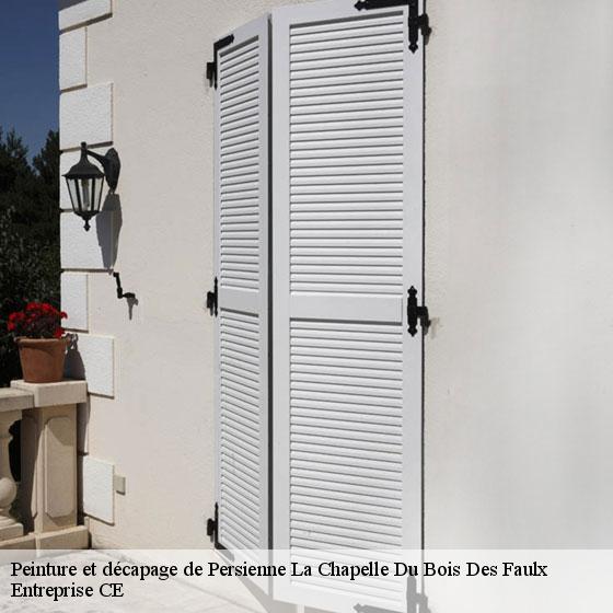 Peinture et décapage de Persienne  la-chapelle-du-bois-des-faulx-27930 Entreprise CE