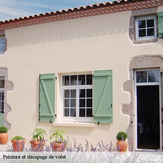 Peinture et décapage de volet  chennebrun-27820 Entreprise CE