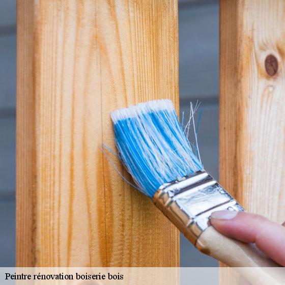 Peintre rénovation boiserie bois  auvergny-27250 Entreprise CE