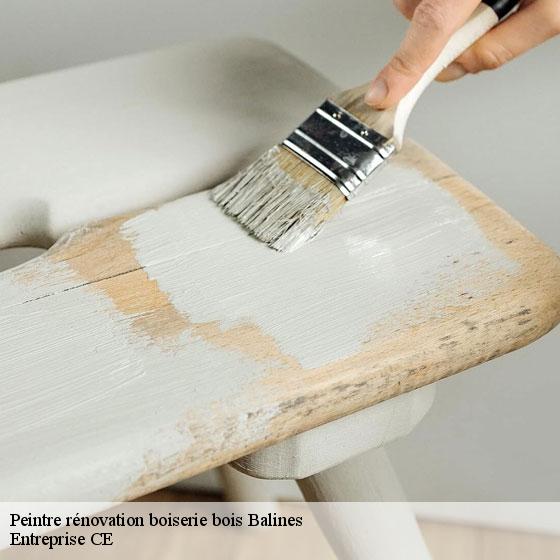 Peintre rénovation boiserie bois  balines-27130 Entreprise CE